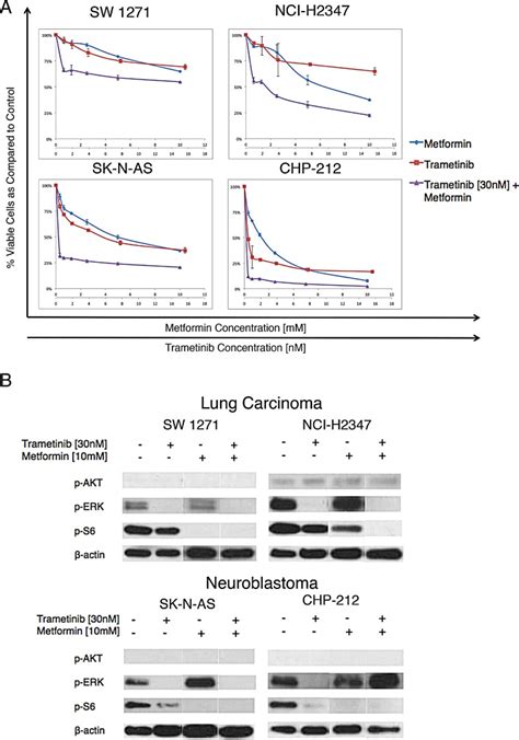 Metformin And Trametinib Have Synergistic Effects On Cell Viability And