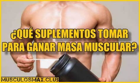 Los 8 Mejores Suplementos Alimenticios Para Ganar Masa Muscular Salud