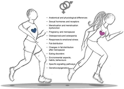 Snapshot Of Key Differences In Sexgender Features To Be Considered In Download Scientific