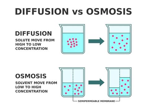 Diffusion High Low Concentration Royalty-Free Images, Stock Photos ...