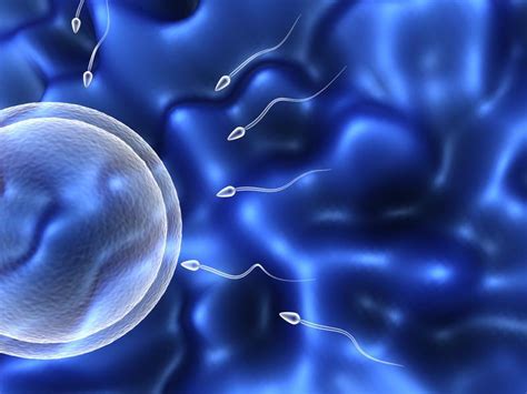 What Are The Options For Male Infertility Rocky Mountain Fertility