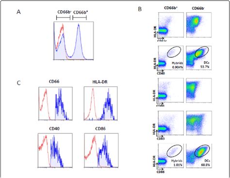 Surface Marker Expression Of Cd66b Hla Dr Cd11c Cd40 Cd86 And Cd86