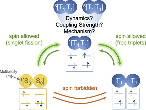 Understanding The Bound Triplet Pair State In Singlet Fission Chem