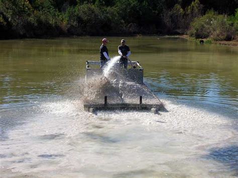 Liming Ponds and Lakes - American Sport Fish