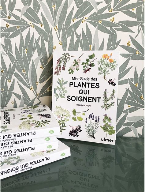 Mini Guide Des Plantes Qui Soignent