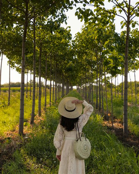 Was bewirkt Keratin im Haar? Alles über die Wirkung