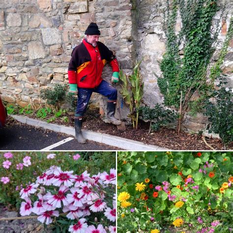 garden volunteer – Kresen Kernow