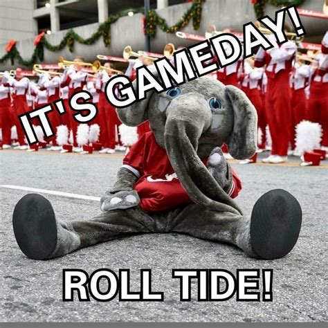 Pin by Kay Cobb on Roll Tide | Bama crimson tide, Alabama roll tide ...