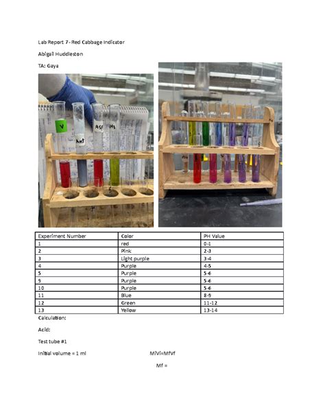 Lab Report Gen Chem Lab Report Red Cabbage Indicator Abigail