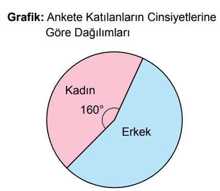 DAİRE GRAFİĞİ ÇIKMIŞ SORULAR