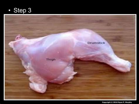 Chicken Leg Dissection Powerpoint Muscular System Skeletal System Ppt