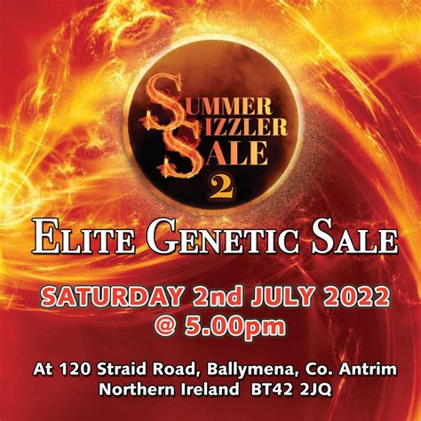 Summer Sizzler Sale