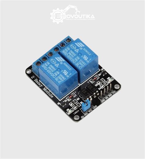 2 Channel 5V Relay Module SPDT | Shop |Erovoutika