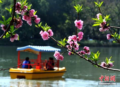 姹紫嫣红春意浓 又到赏花好时节 搜狐大视野 搜狐新闻