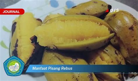 Temukan Manfaat Pisang Rebus Yang Wajib Kamu Intip E Journal