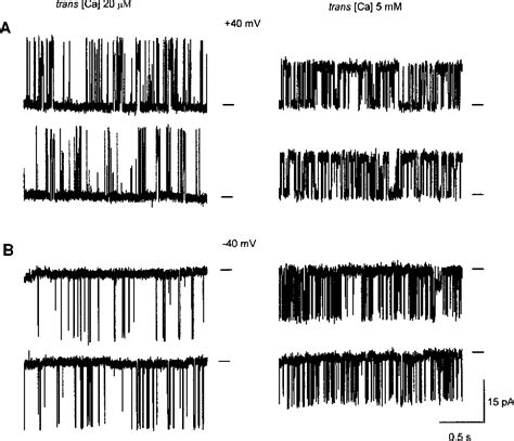 Figure From Regulation Of The Cardiac Ryanodine Receptor Channel By