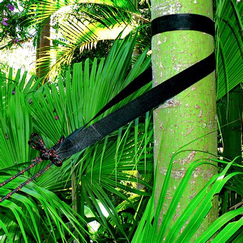 extra long tree straps hammock bliss