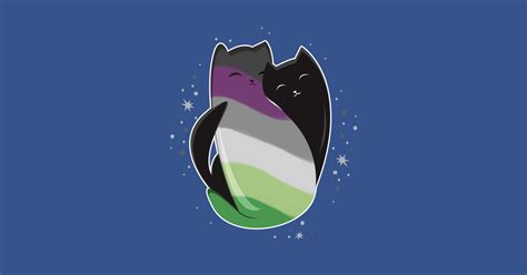 Aroace Cat Lgbt Asexual Aromantic Pride Flag Aroace T Shirt Teepublic