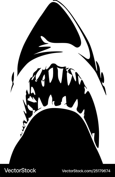 Shark teeth Royalty Free Vector Image - VectorStock