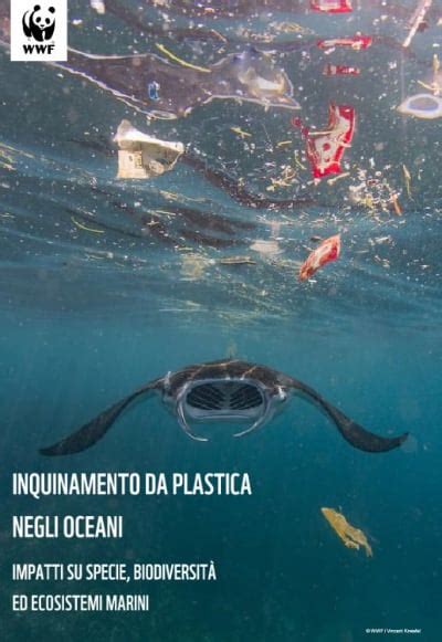 Wwf Rilancia L Allarme Sull Inquinamento Da Plastica