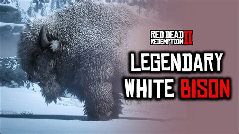 Red Dead Redemption 2 Legendary White Bison Location First Clue YouTube