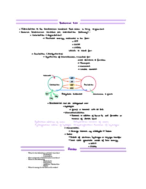 Solution 1 Basic Concepts Studypool