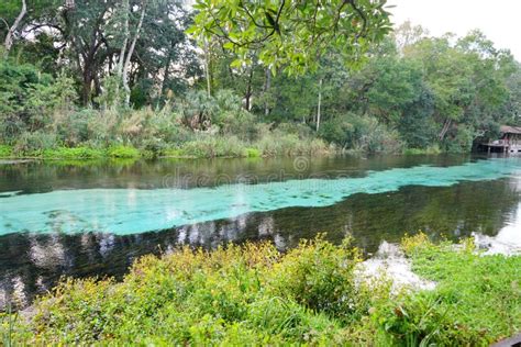 Weeki Wachee State Park River Stock Image - Image of destination ...