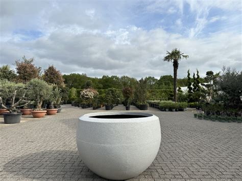 Luxury Bowl Plantenbak Ivoorkleur Cm Palmexpert Nl