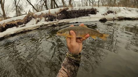 Wisconsin Trout Fishing 352023 Youtube