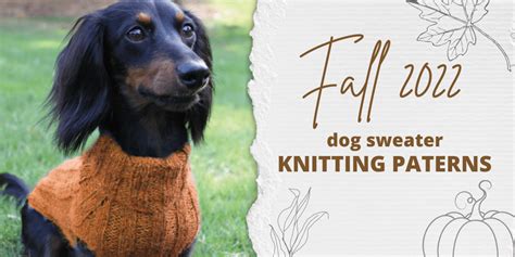 Dog Sweater Knitting Patterns for Fall - BoredMom