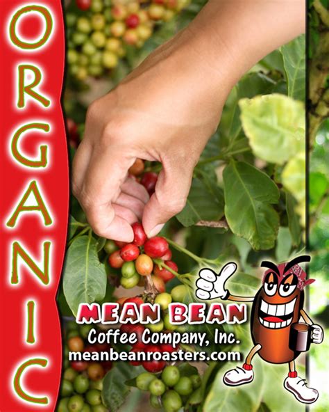 Organic Coffee Blend | Mean Bean Coffee Roasters...