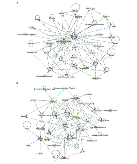 Depicted Top Scoring I Pa Metabolomic Networks A Cell To Cell Download Scientific Diagram