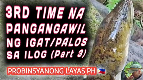 Igatpaloskasilieel Fishing Part3 3rd Time Na Pangangawil Sa Ilog