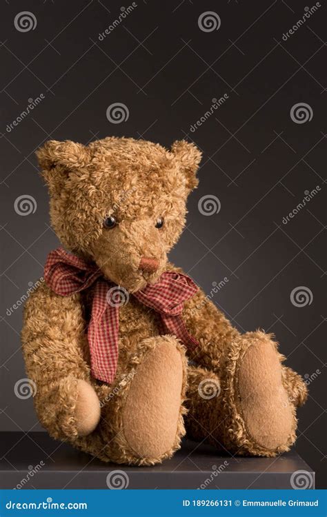 Sitting Teddy Bear With Bow Tie Stock Image Image Of Blanket Teddy