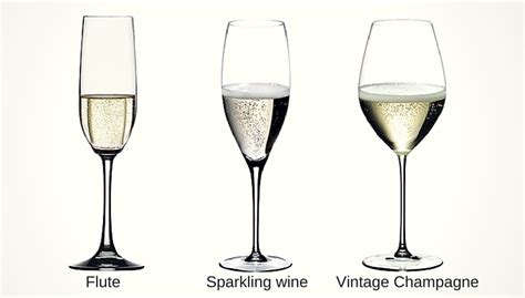 The Beginner Guide To Different Types Of Wine Glasses Vintage Roots