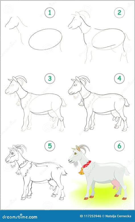 How To Draw A Goat Step By Step