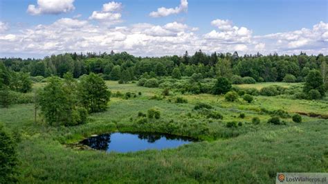 Wakacje Na Podlasiu Skarby I Atrakcje Przyrodnicze Podlasia