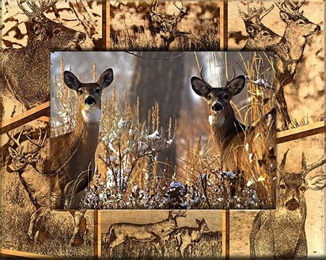 Whitetail Deer Laser Engraved Wood Picture Frame 5 X 7