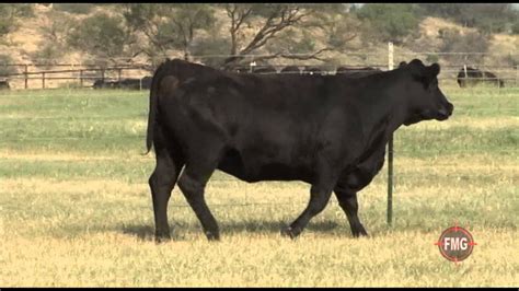 Lot 1567 Ra Brown Ranch Youtube