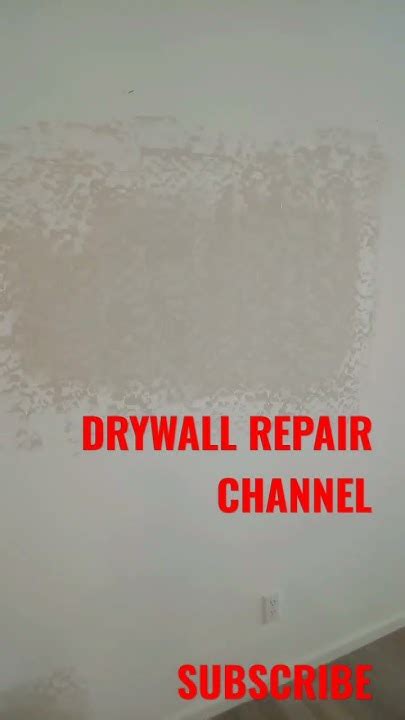 Drywall Repairman Sheetrock Patching Plaster Repair Wall Patch Ceiling