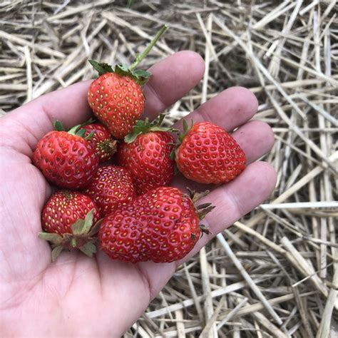 Stony Kill Foundation - Just five days till Christmas! Need a last