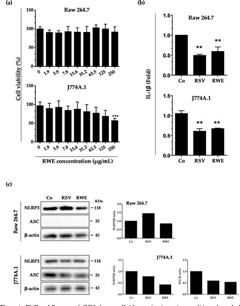 Pdf Study Of Potential Anti Inflammatory Effects Of Red Wine Extract