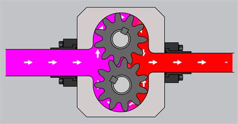 Gear Pump Lunchbox Sessions