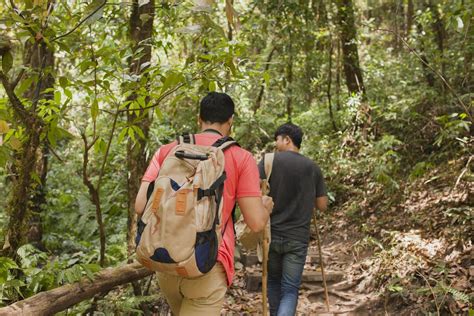 Razones Para Hacer Ecoturismo En Colombia Novatours