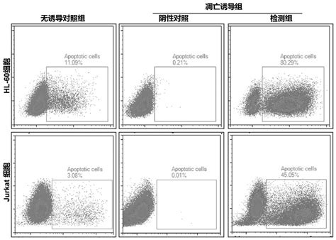 用于流式细胞术分析凋亡细胞的tunel专用固定破膜剂及其制备方法与应用与流程