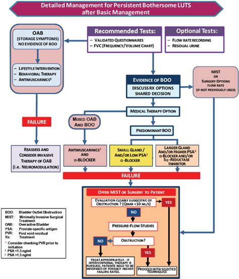 Figure 2 From Update On Aua Guideline On The Management Of Benign