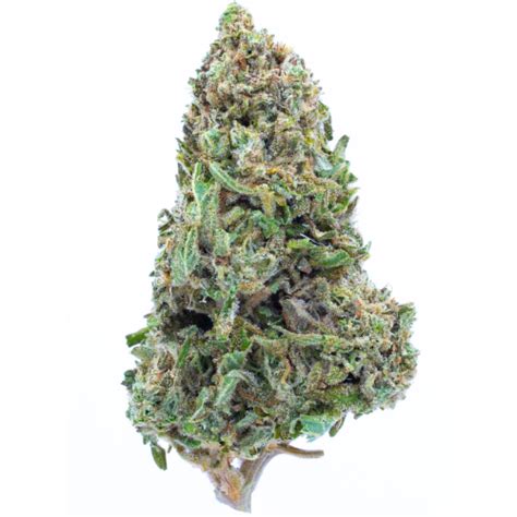 Sativa Strains - AskGrowers