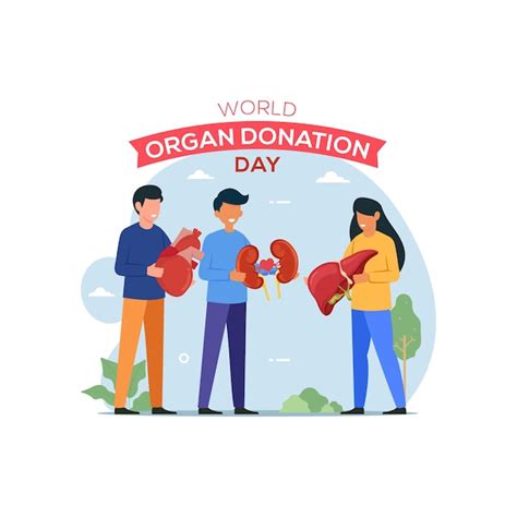 Premium Vector World Organ Donation Day Banner Healthcare Illustration