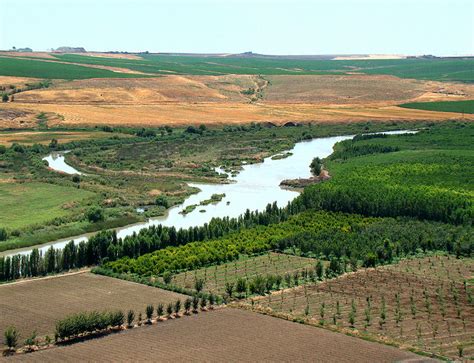 ไฟล์:Tigris River At Diyarbakir.JPG - วิกิพีเดีย