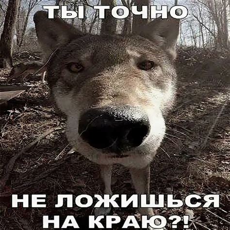 ты точно не ложишься на краю?! - YouTube